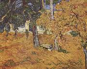 Vincent Van Gogh, Park des Spitals